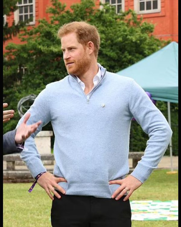 Prince Harry WellChild Awards Sweater